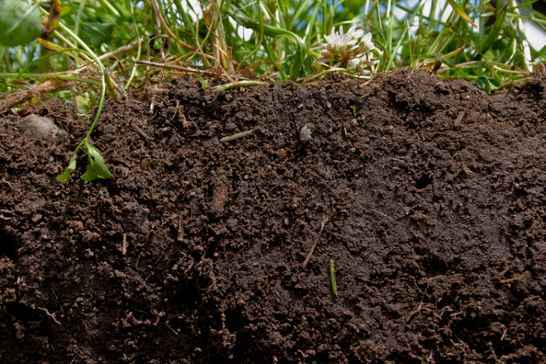 Natuur & Biodiversiteit