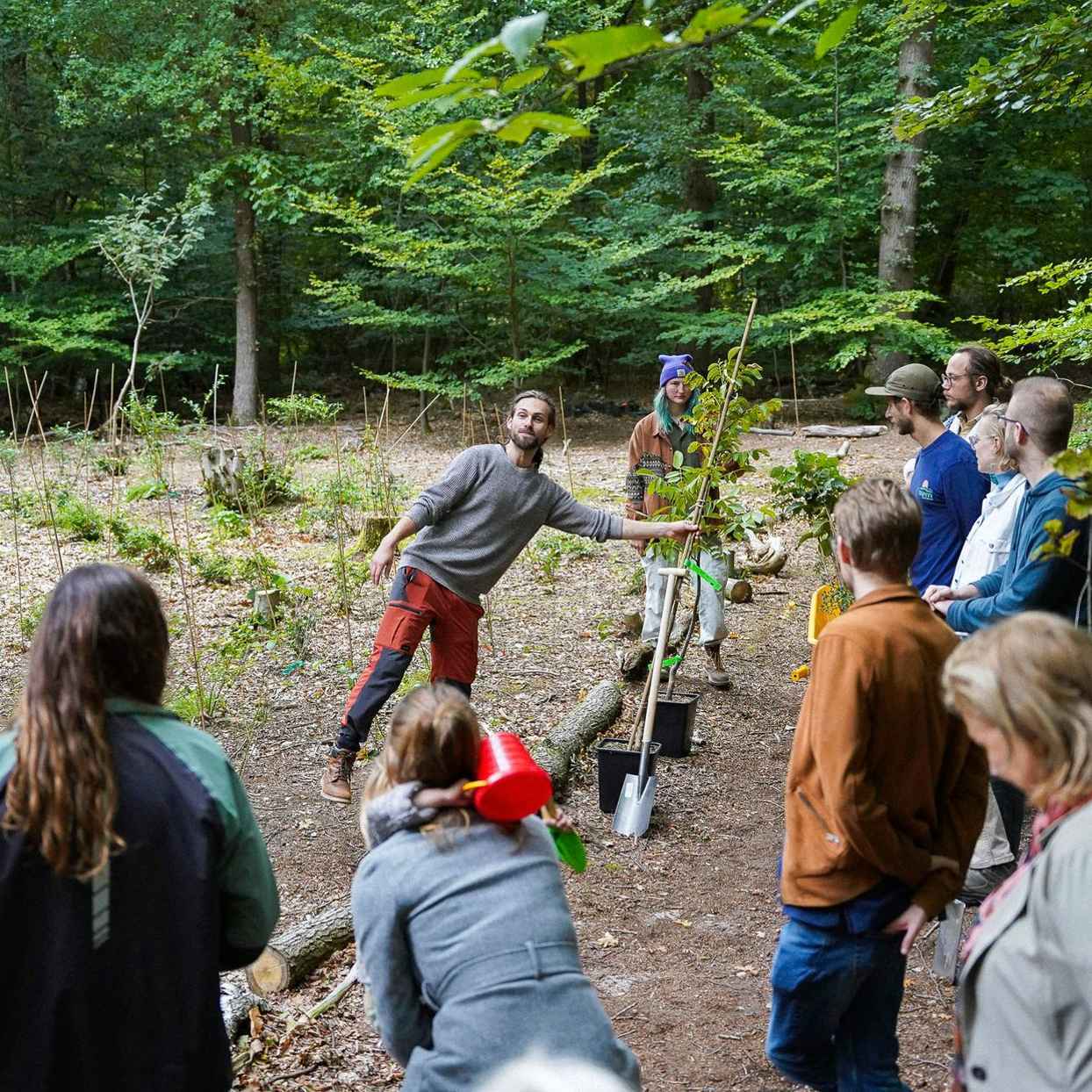 Cursusgroep leert bomen planten in een voedselbos.