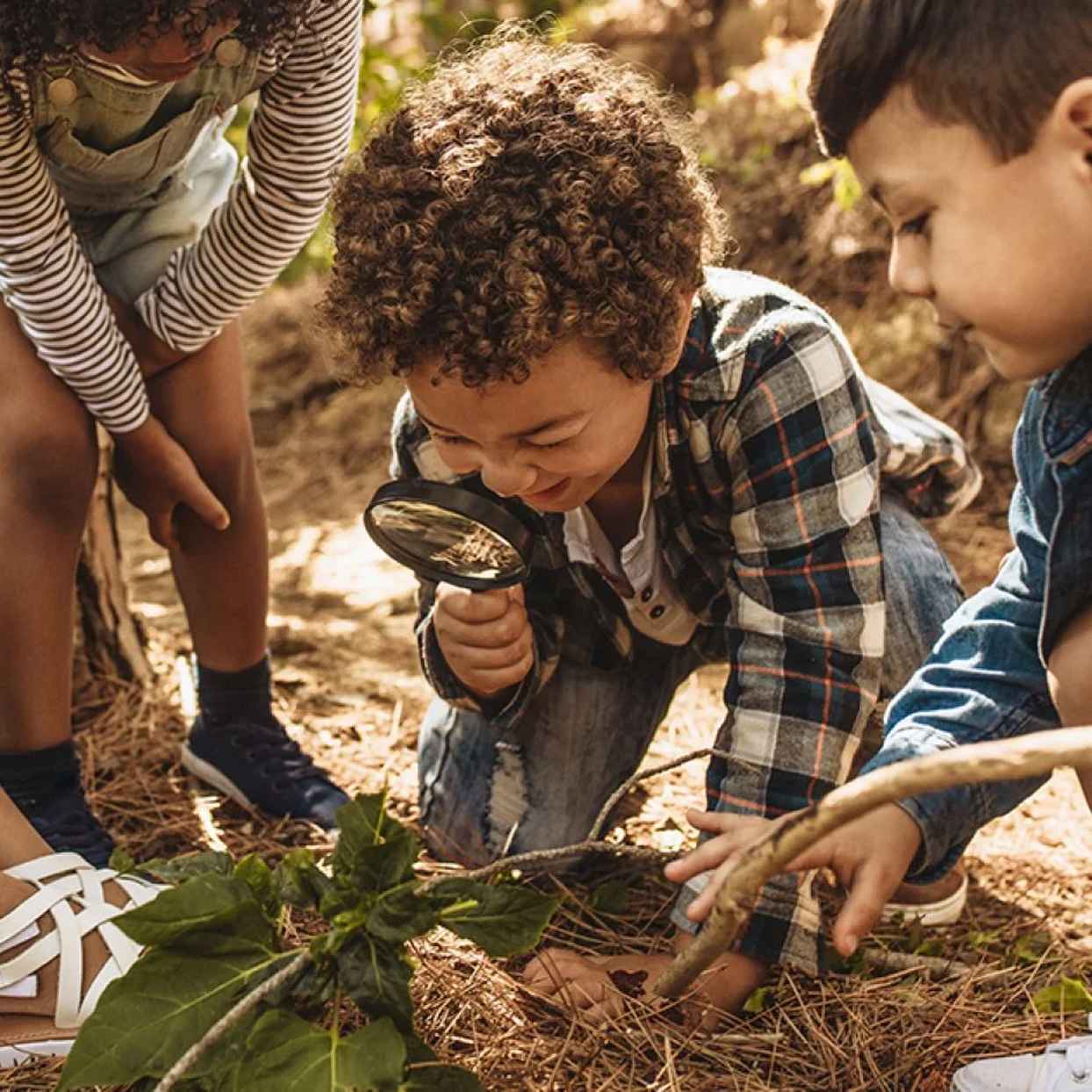 Kinderen leren buiten in het bos en bestuderen met een vergrootglas bladeren.