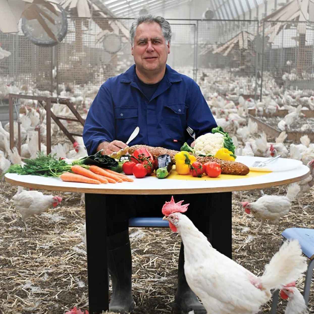Ruud is een kippenhouder die zelf vegan eet en het liefst wil dat niemand meer eieren eet.