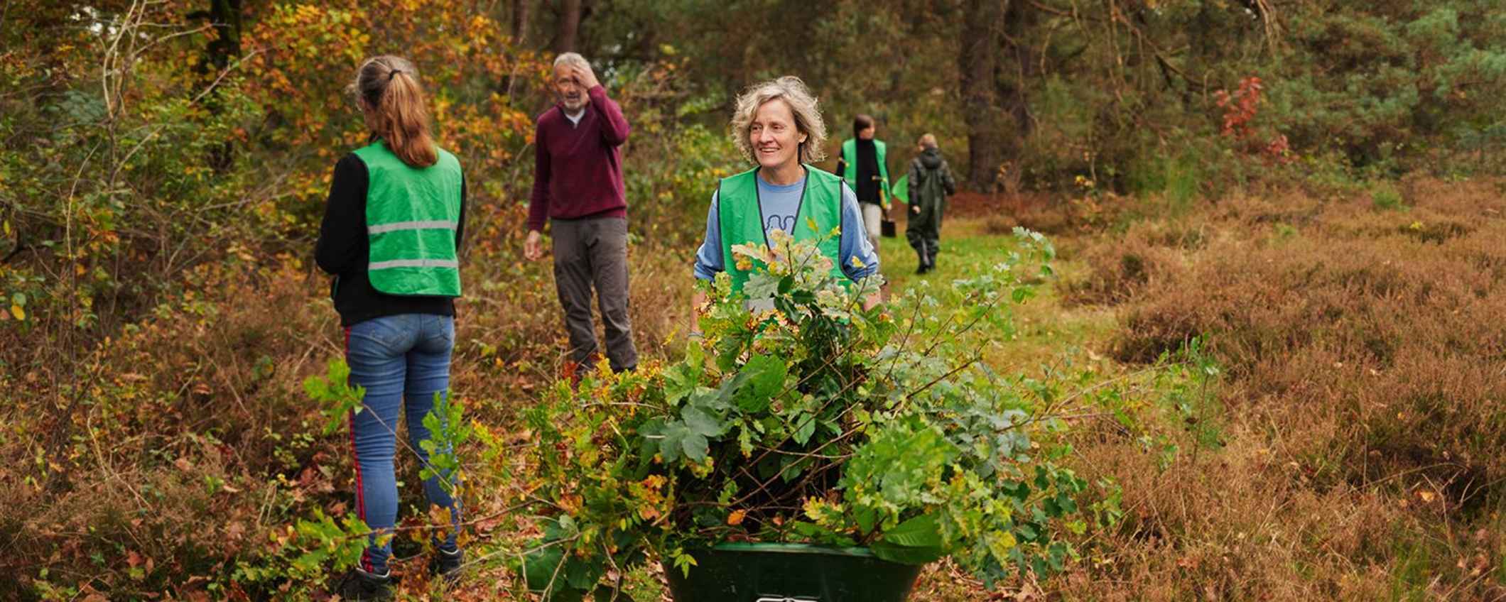 Vrijwilligers van Meer Bomen Nu geven jonge boompjes die spontaan opkomen een tweede leven