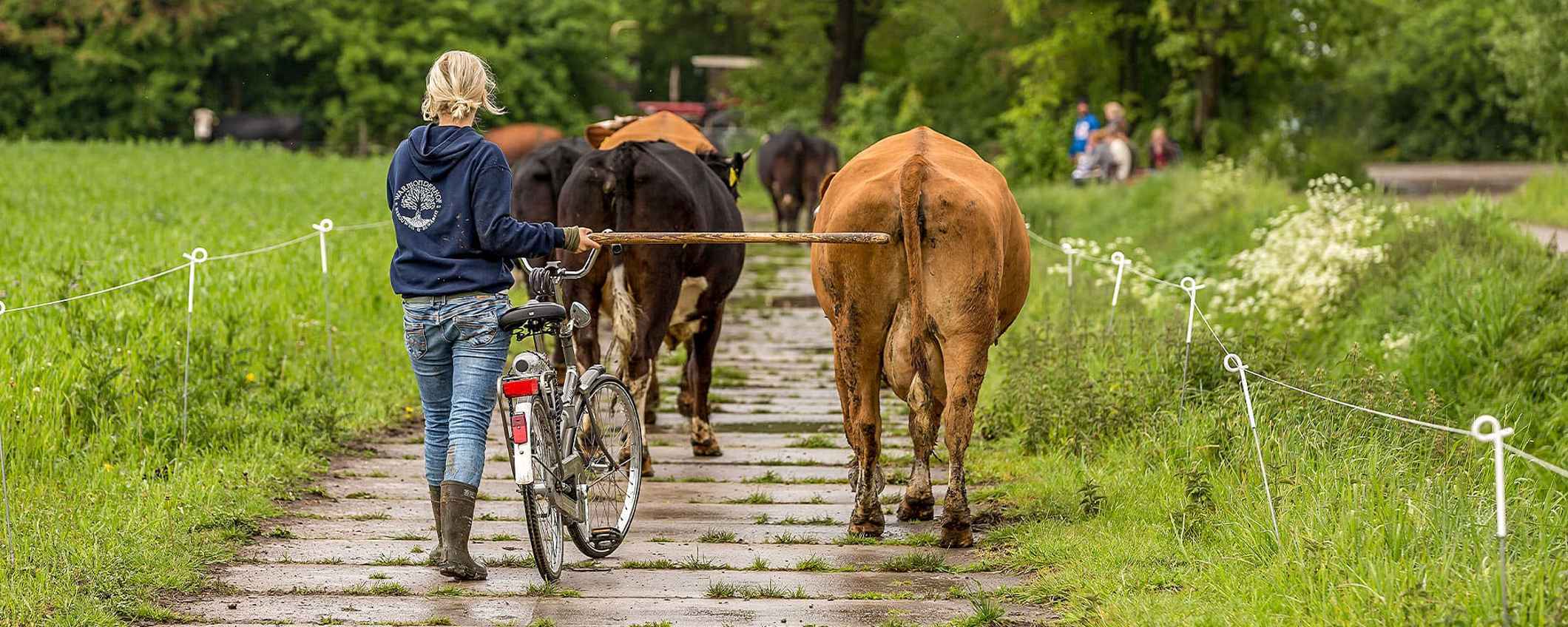 Warmonderhof is een biologisch-dynamisch landbouwbedrijf