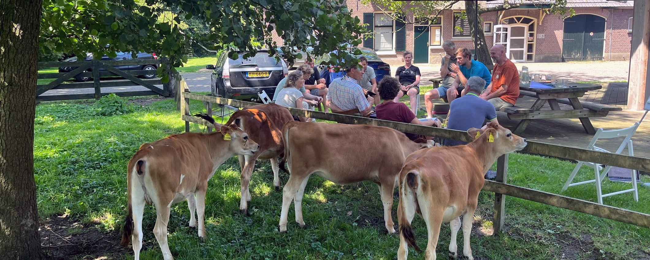 Upfarming terugkomdag basiscursus Adviseur Regeneratieve Landbouw