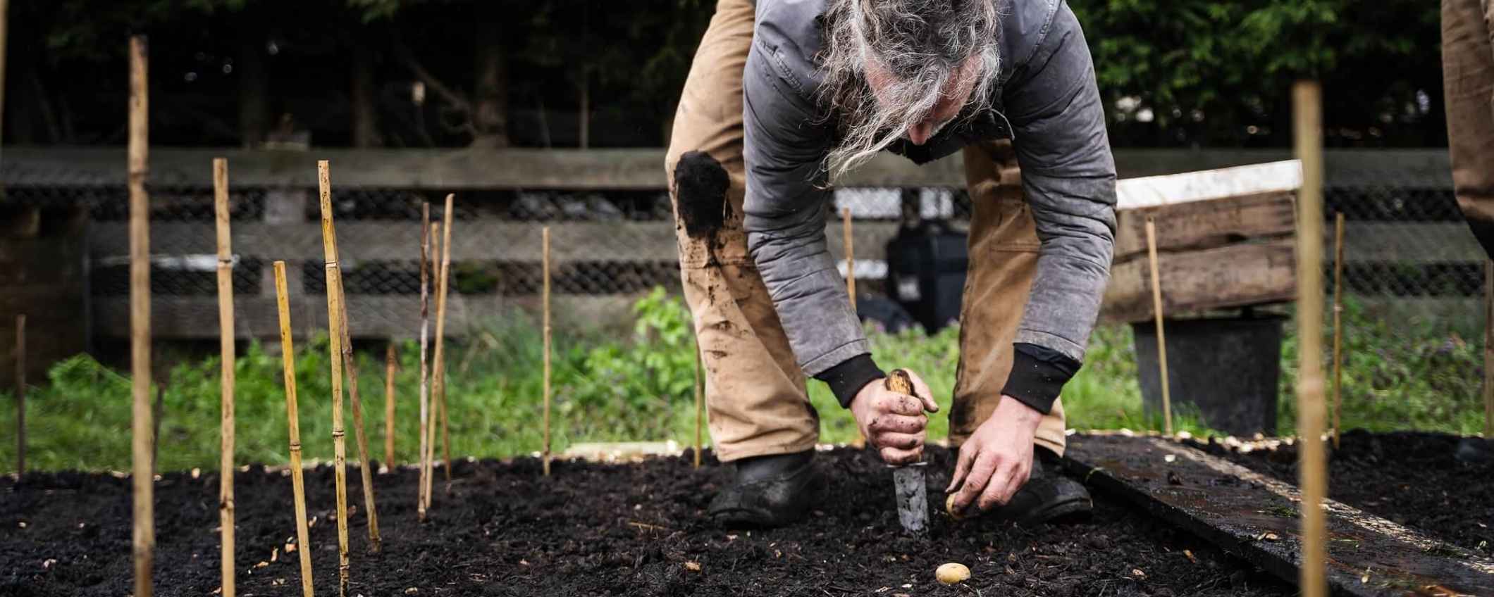 Een beeld van een moestuin uit de film Onder het maaiveld. Foto: Miriam Brunke