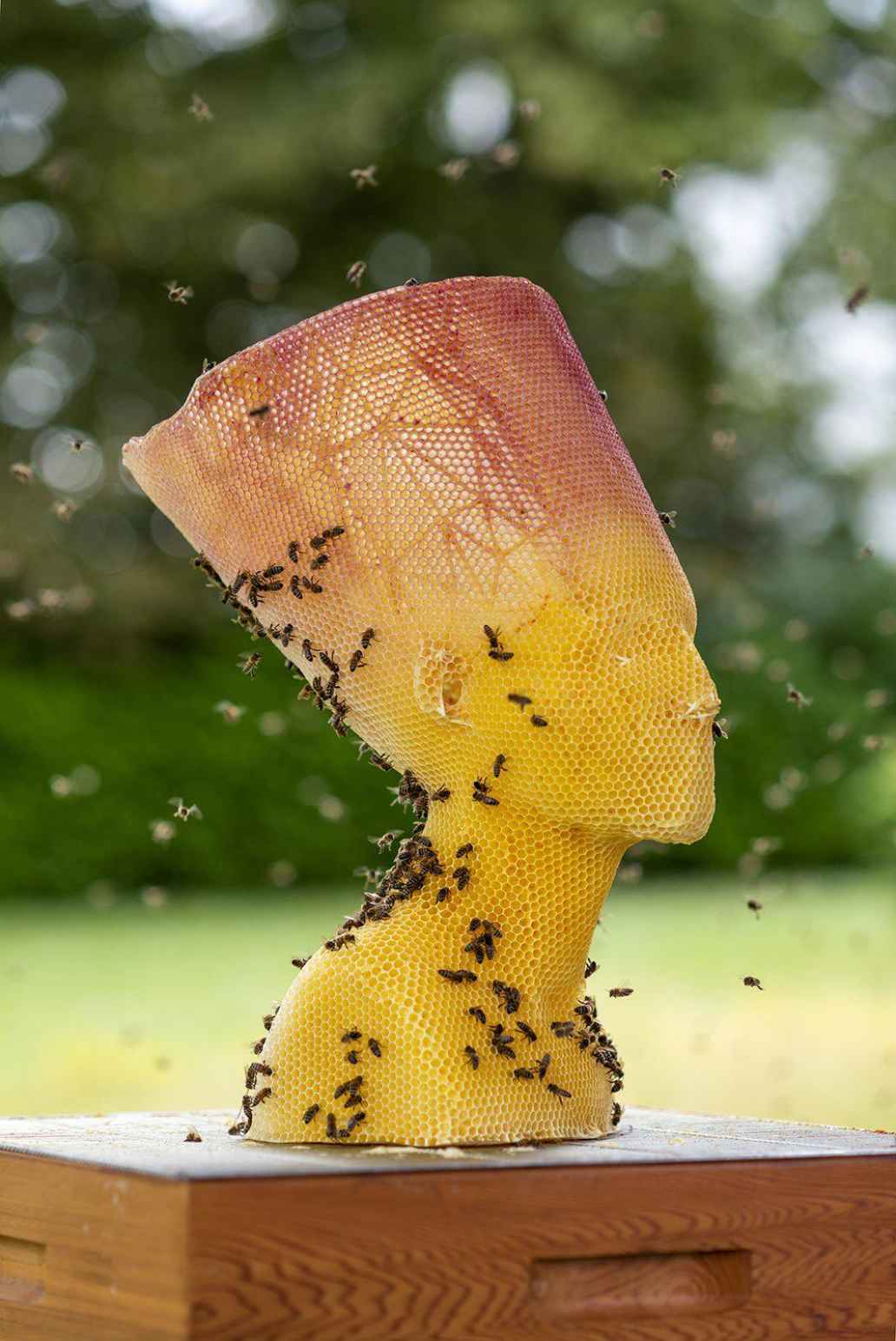 Sculpturen gemaakt met honingbijen.