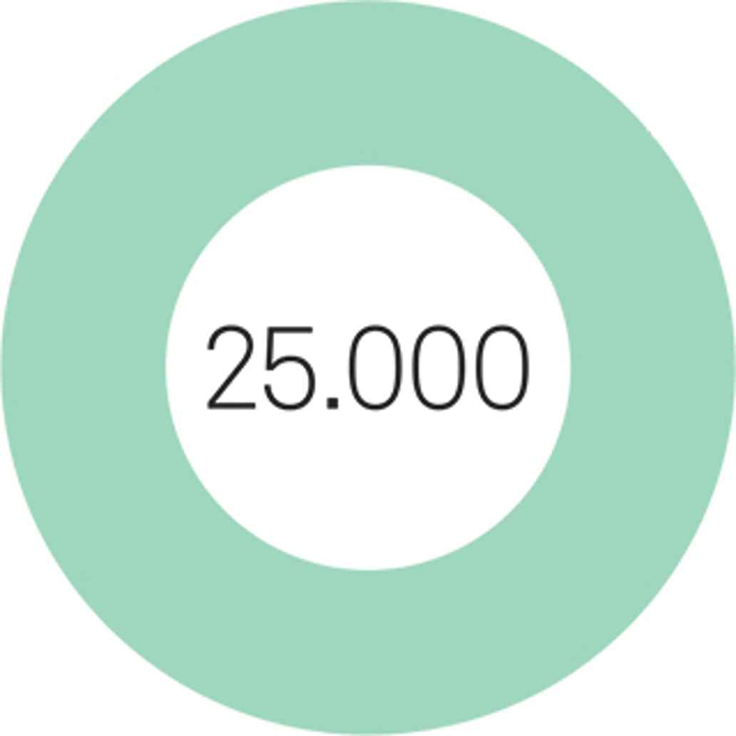 25.000